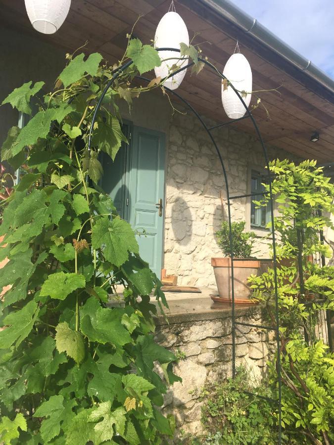 Hotel Hungry Grape Guests Erdőbénye Exterior foto