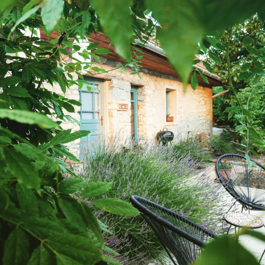 Hotel Hungry Grape Guests Erdőbénye Exterior foto